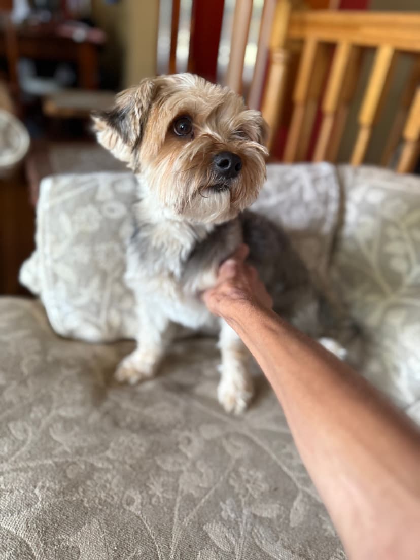 Butch